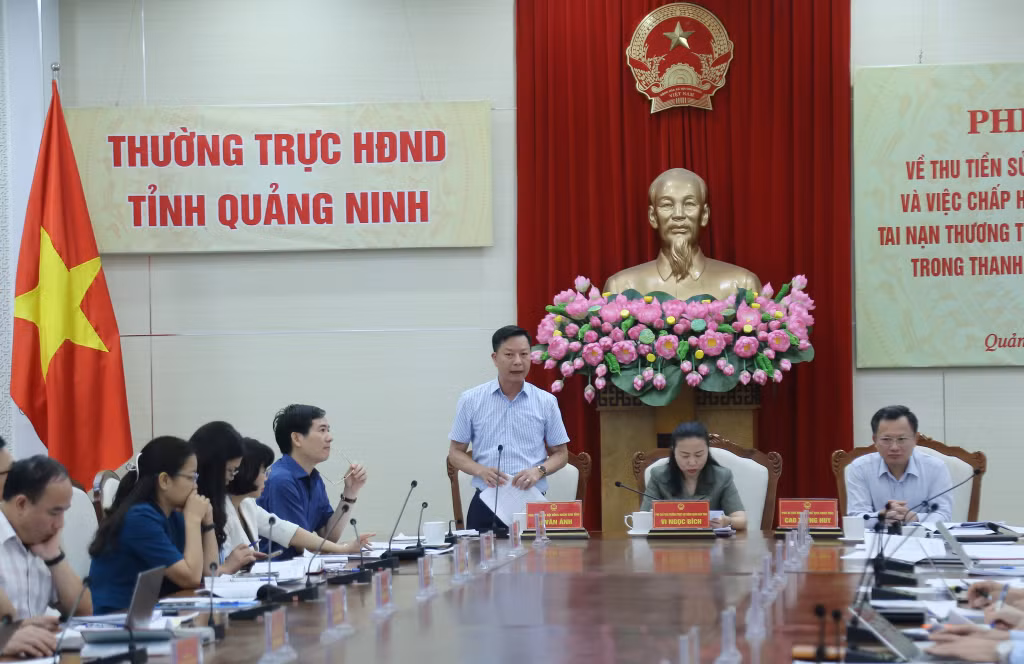 Đồng chí Lê Văn Ánh, Phó Chủ tịch HĐND tỉnh phát biểu tại phiên họp.