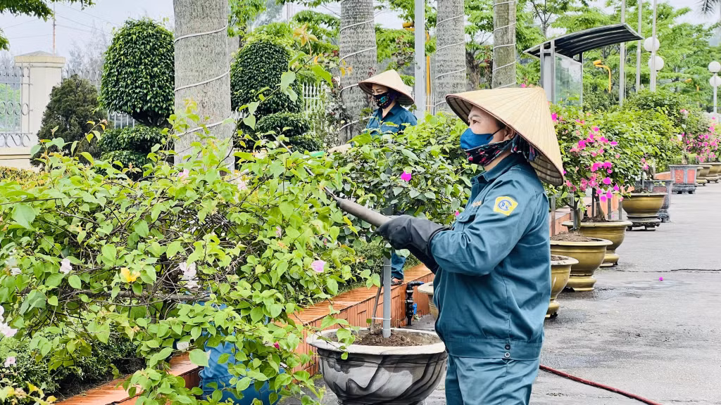 Cắt tỉa cây xanh, tạo cảnh quan trong khuôn viên khu vực sản xuất.
