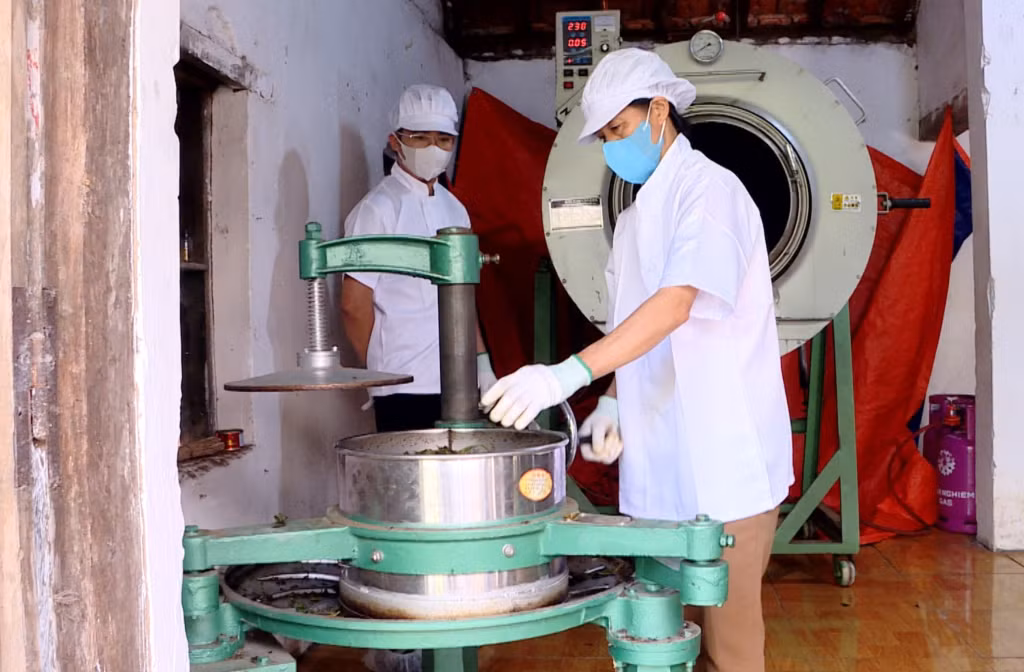 Các công đoạn vò, sao trà được thực hiện bằng máy tại Công ty Trà Vân Bản Sen.