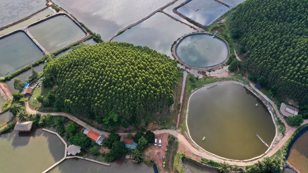 Khu du lịch trải nghiệm tại trang trại Family Ecozone.