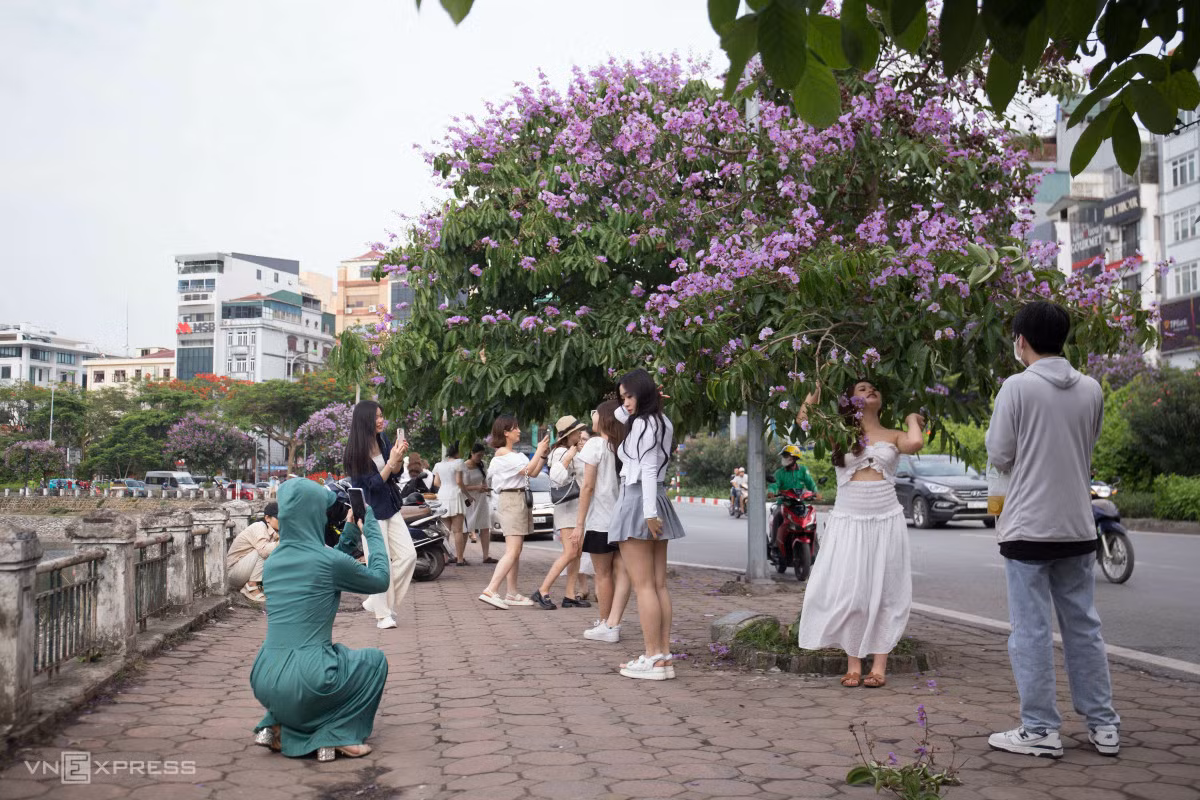 Người Hà Nội chen chân chụp ảnh hoa bằng lăng ảnh 4