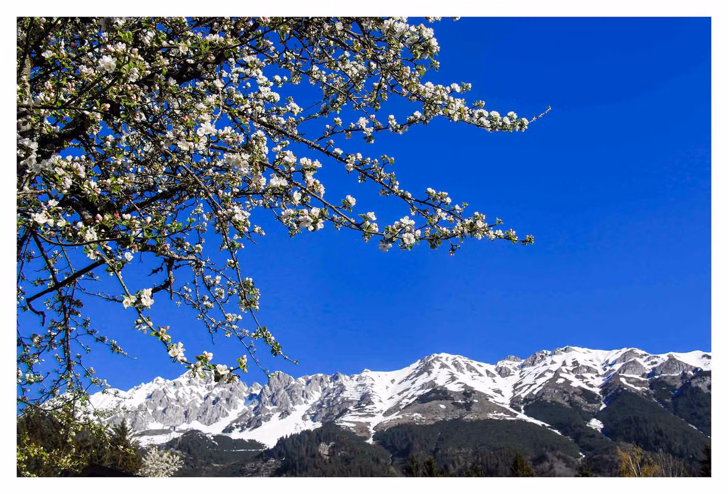 Tên gọi Innsbruck là từ ghép của tên sông Inn và Brücke (trong tiếng Đức có nghĩa là cây cầu). Ảnh: Trần Minh Thiện