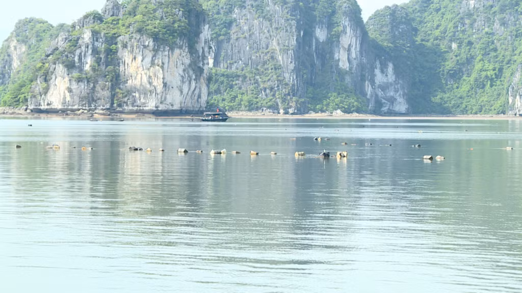 Tại khu vực hòn Đầu Đá và hòn Cóc Đôi vẫn còn tình trạng phao xốp trên biển.