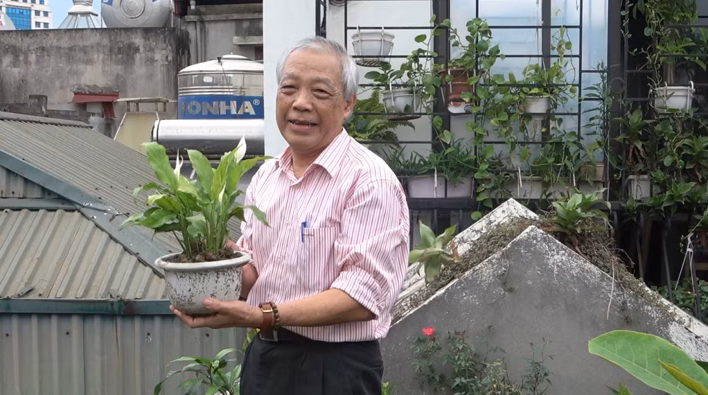 Từ khi dùng Cốt Thoái Vương, ngày nào ông Hùng cũng lên tầng 5 chăm cây cảnh.