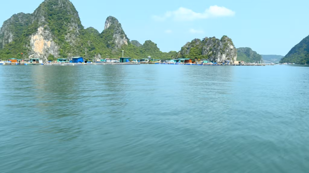 Diện tích mặt biển được TP Cẩm Phả quy hoạch phát triển nuôi trồng thủy sản trên biển đến năm 2030, tầm nhìn 2045 có tổng diện tích 2.476,1ha tập trung ở 7 phường.