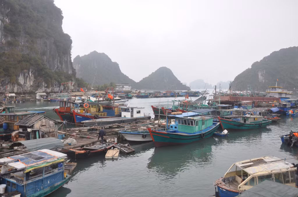 Các tàu đánh bắt thuỷ sản sẽ được kiểm soát qua cảng, nhằm tránh phát thải rác thải nhựa ra biển.