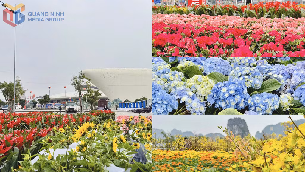 Đại lộ hoa và công nghệ ánh sáng bên vịnh kỳ quan - Vịnh Hạ Long với chủ đề “Quảng Ninh - Xuân di sản, kỳ quan số” được tổ chức trên địa bàn phường Hạ Long mang đến không gian nghệ thuật rực rỡ, kết hợp hài hòa giữa sắc xuân truyền thống và công nghệ hiện đại, là điểm nhấn nổi bật trong chuỗi hoạt động văn hóa – du lịch chào xuân.