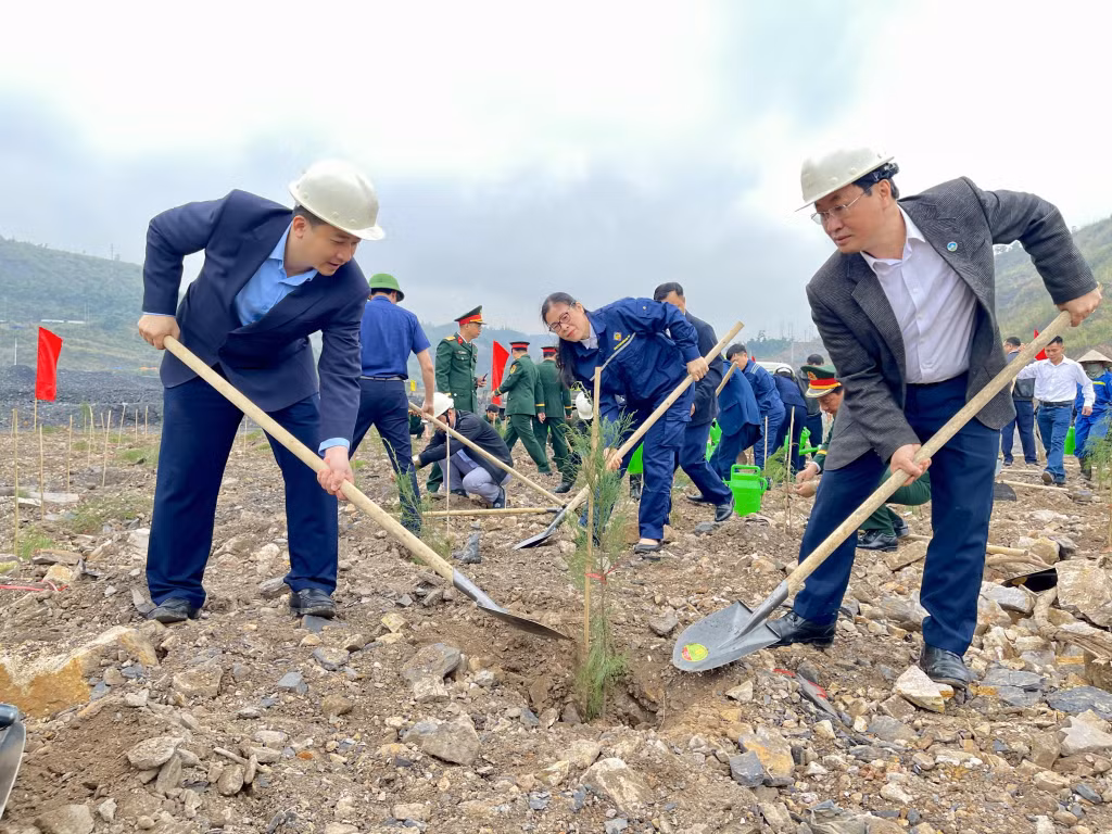 Cán bộ, đảng viên, đoàn viên, hội viên, các cơ quan, đơn vị, doanh nghiệp và nhân dân phường Mông Dương trồng trên 6.500 cây phi lao tại khai trường mức +110 thuộc Công ty Than Dương Huy - TKV.