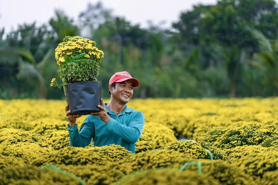 Theo lời chị Khánh, không khí tại các vườn hoa rộn ràng. Niềm vui hiện rõ trên gương mặt bà con nông dân lẫn du khách và các nhiếp ảnh gia đang ghé thăm, thưởng ngoạn.