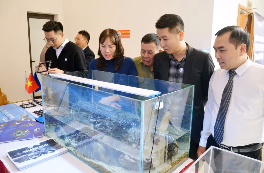 Mô hình thí nghiệm nuôi rong sụn công nghệ cao của Công ty CP Tập đoàn STP triển khai tại Đặc khu Vân Đồn.