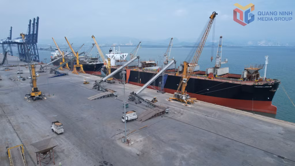 2 tàu có trọng tải gần 40.000 tấn 