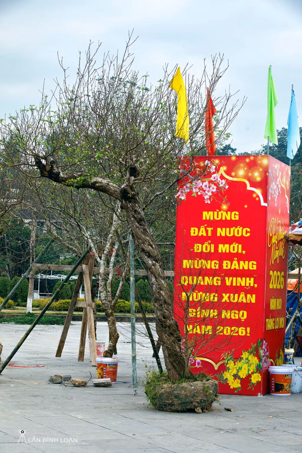 Pano mừng Đảng - mừng xuân giữa hoa đào.