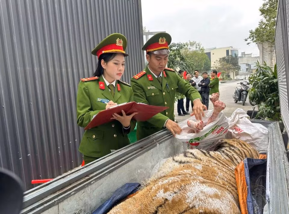 Triệt phá đường dây mua bán, nấu cao hổ. Ảnh: Công an Thanh Hóa