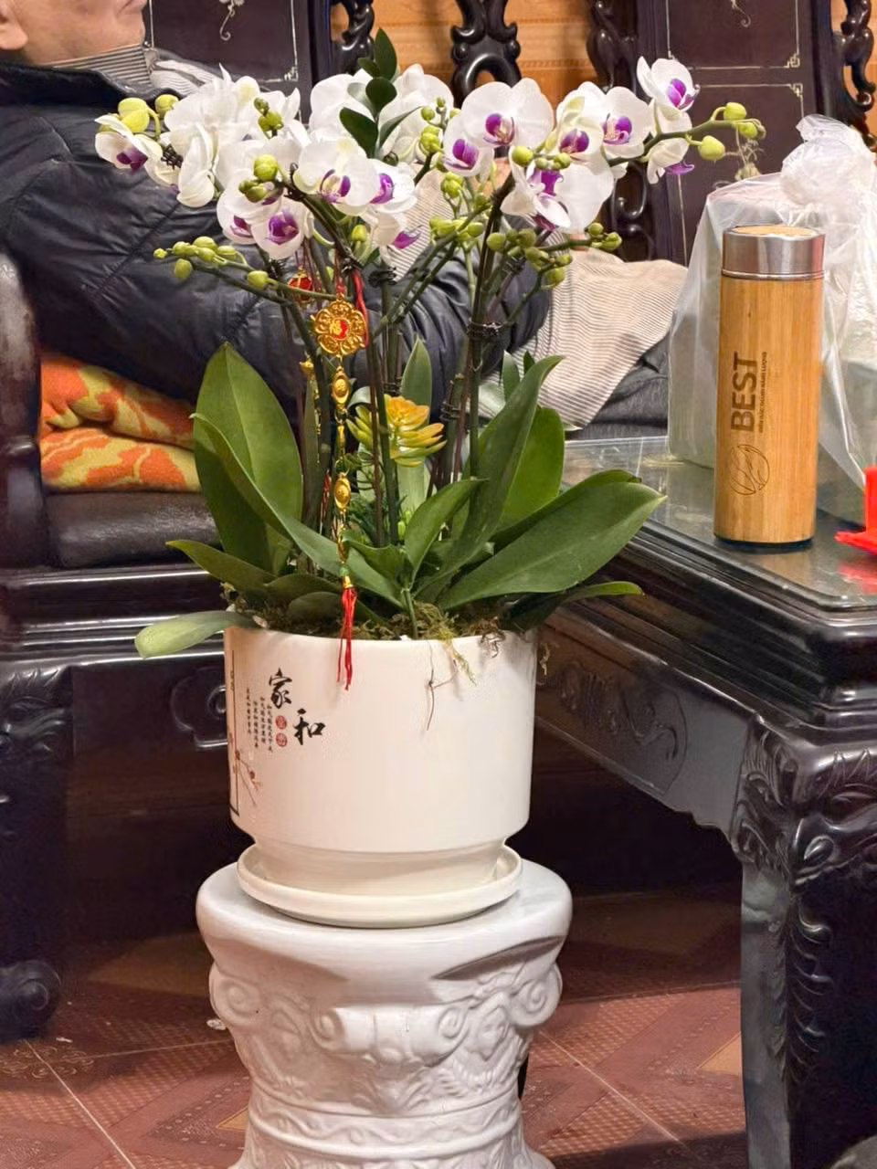 Một chậu lan nhỏ xinh được chị Phương Liên chuẩn bị gửi gắm trong đó bao ước vọng bình an, lời chúc sức khỏe và yêu thương dành trọn cho bố mẹ. Ảnh: Minh Vũ