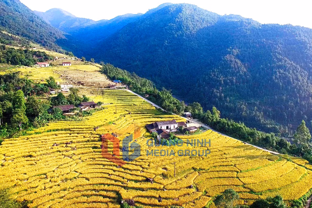 Ruộng bậc thang ở Bình Liêu nhìn từ trên cao (8-2020). Ảnh: Hùng Sơn