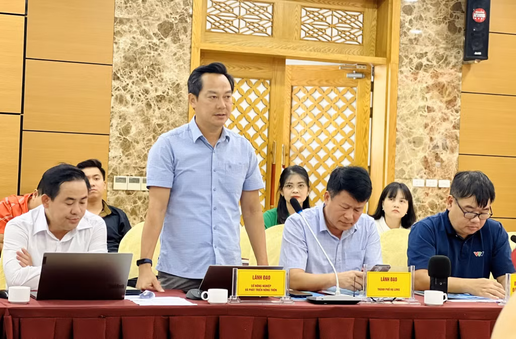 Lãnh đạo Sở NN&PTNT thông tin về việc công bố hạn ngạch giấy phép khai thác tàu cá trên vùng biển.