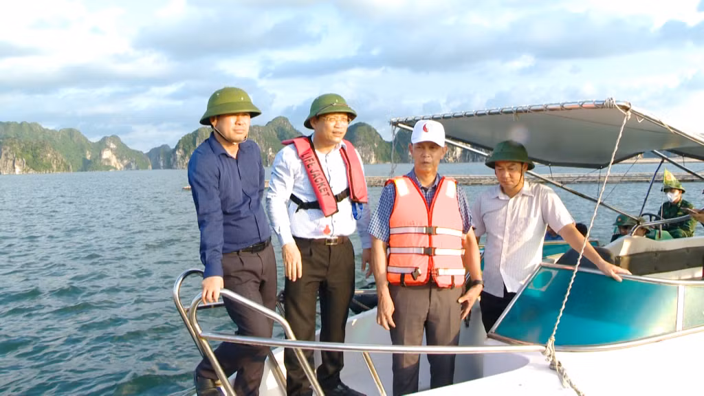 Đồng chí Nghiêm Xuân Cường, Phó Chủ tịch UBND tỉnh kiểm tra, khảo sát tình hình thực hiện giao khu vực biển nuôi trồng thủy sản và quản lý tàu cá tại thị xã Quảng Yên.