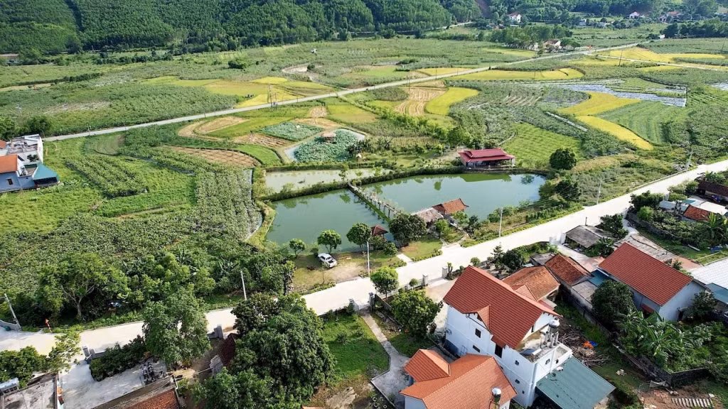 Nhiều tuyến đường như tuyến đường trục chính thôn Đồng Đạng được đầu tư, xây dựng mang lại diện mạo khang trang cho các xã nông thôn của TP Hạ Long.
