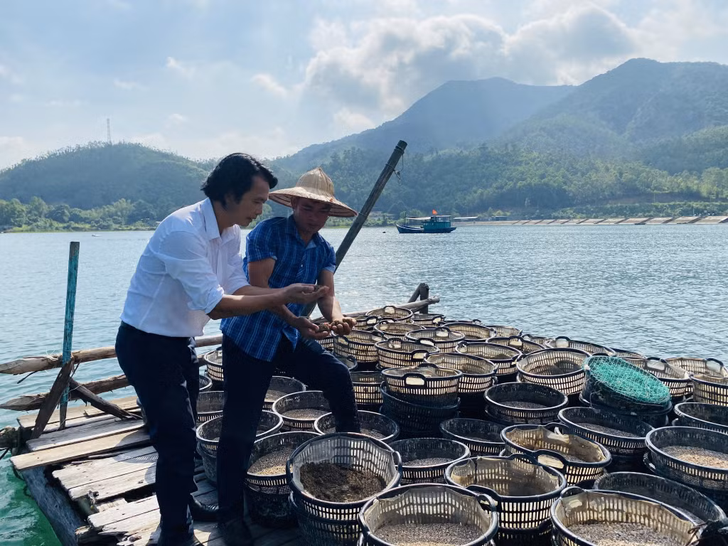 Nhu cầu sử dụng cát xốp phục vụ nuôi nhuyễn thể hàng năm của cả tỉnh hiện vào khoảng 500.000m3/năm.