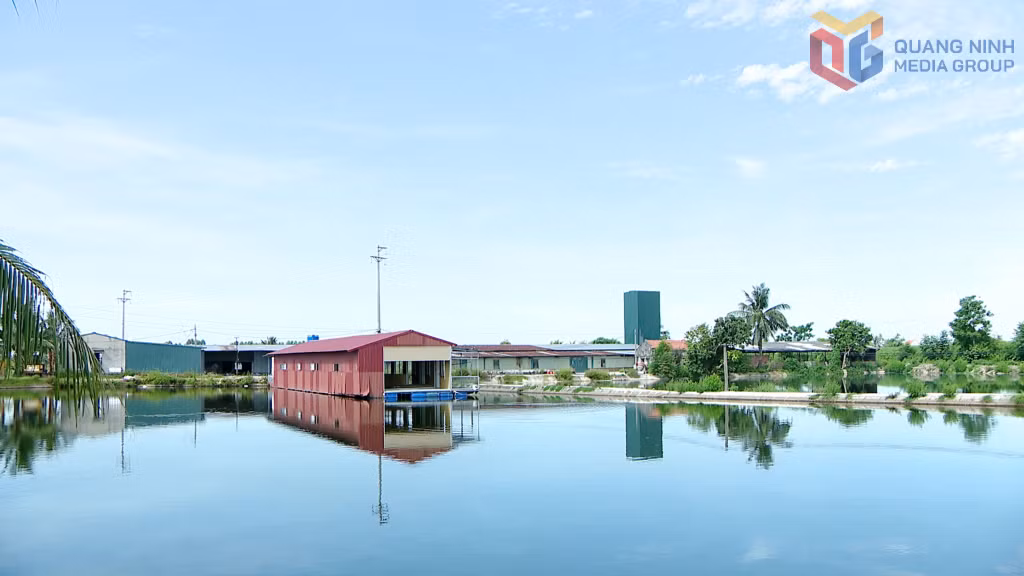 Trang trại chăn nuôi vịt bằng công nghệ chuồng lạnh của ông Đồng Quang Cường ở phường Phong Cốc.