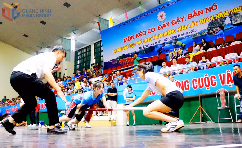 Các môn thi đấu được tổ chức quy củ, hấp dẫn.