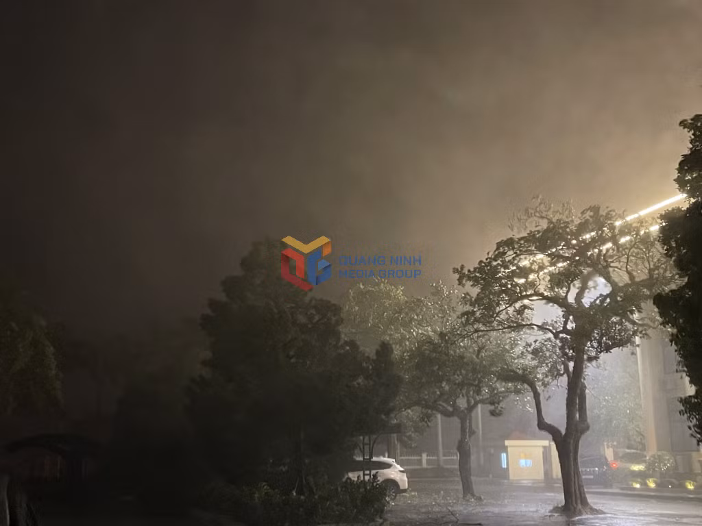 Khu vực Móng Cái có mưa rất lớn, gió giật cấp 8, cấp 9.
