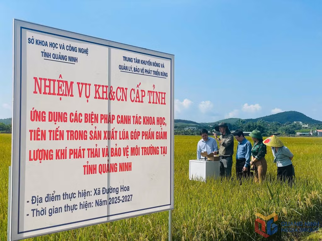 Các đơn vị kiểm tra việc triển khai mô hình ứng dụng các biện pháp canh tác tiên tiến trong sản xuất lúa tại xã Đường Hoa.