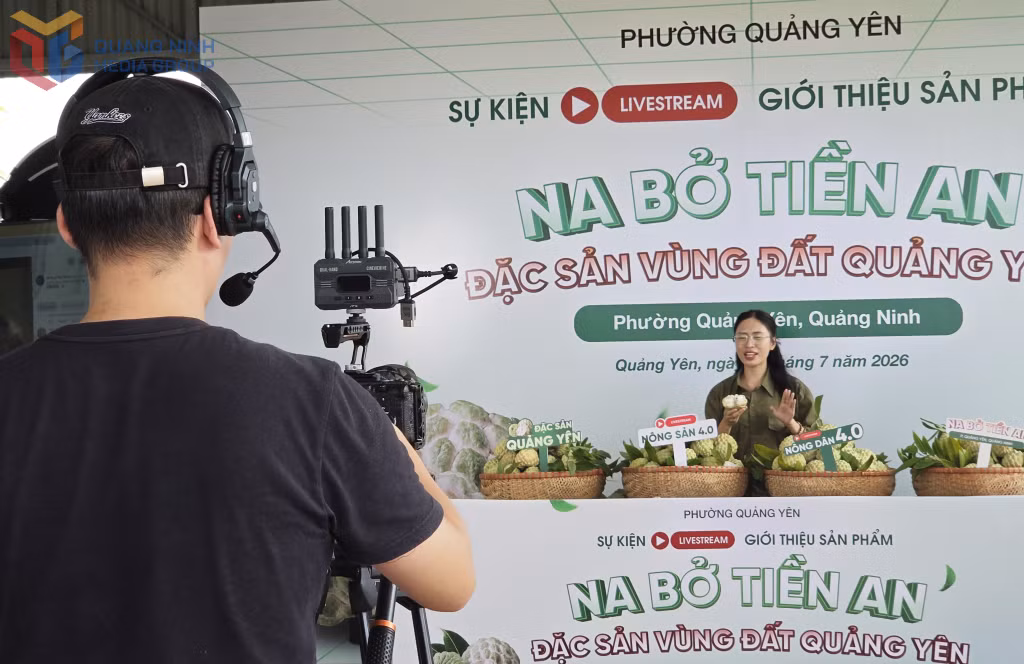 Phiên livestream quả na bở Tiền An được phường Quảng Yên phát trực tiếp trên cổng thông tin điện tử phường Quảng Yên và một số trang fanpage.