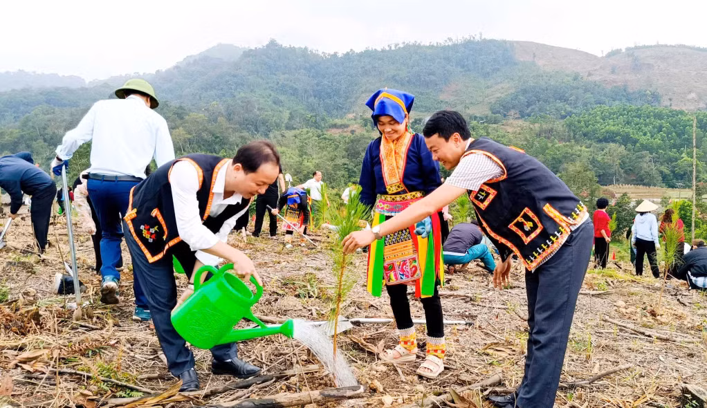 Người dân Kỳ thượng tích cực tham gia phong trào trồng rừng tập trung, góp phần nâng cao hiệu quả sử dụng đất và tài nguyên rừng. Ảnh: Bình Minh (CTV)