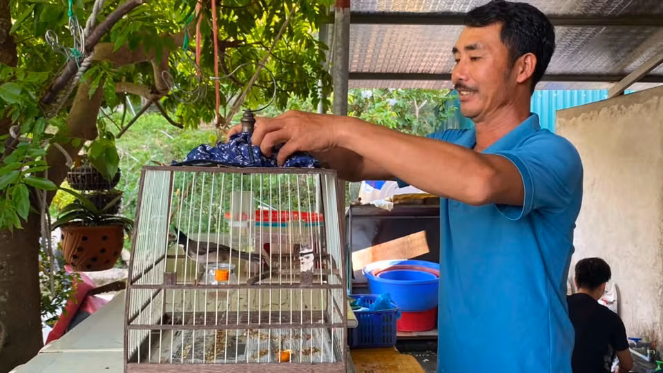 Anh Phạm Văn Lý sửa lại chiếc lồng chim sau giờ lao động, một góc nhỏ bình yên của cuộc sống trên đảo Trần.
