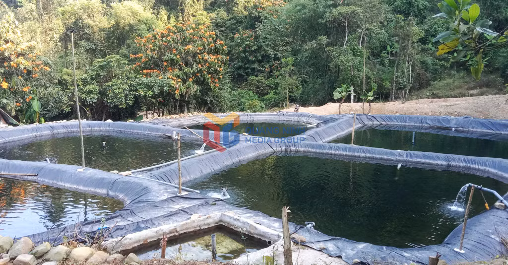 Ao nuôi cá tầm của anh Trần Văn Mạ tại thượng nguồn thác Khe San, xã Tiên Yên.