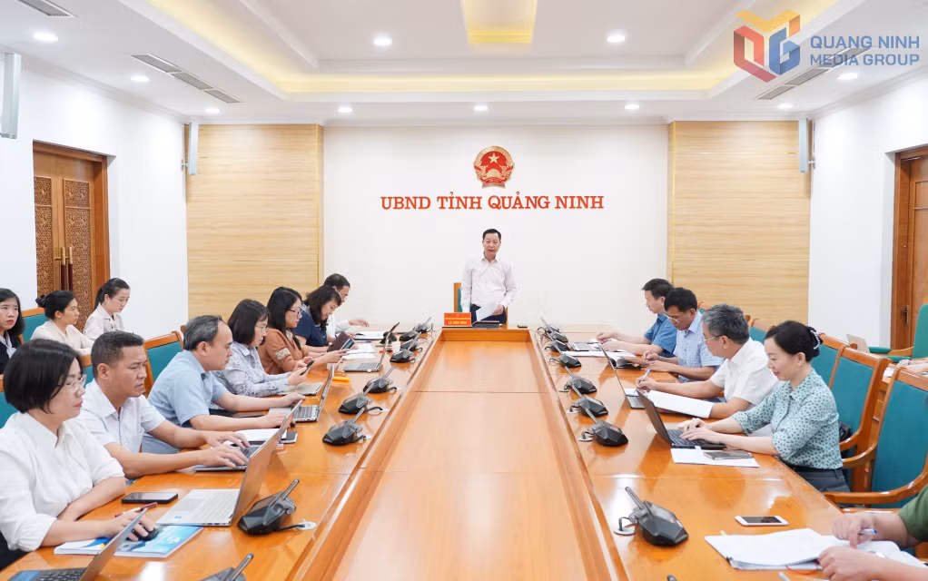 Đồng chí Lê Văn Ánh, Phó Chủ tịch UBND tỉnh, phát biểu chỉ đạo cuộc họp.
