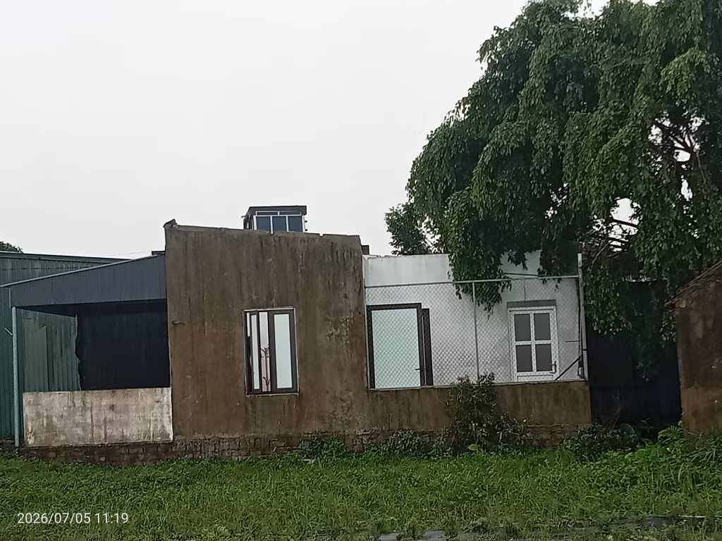 Căn nhà của anh Nguyễn Văn Kha, Thôn Quảng Minh 2, xã Quảng Hà bị bão thổi tốc mái.