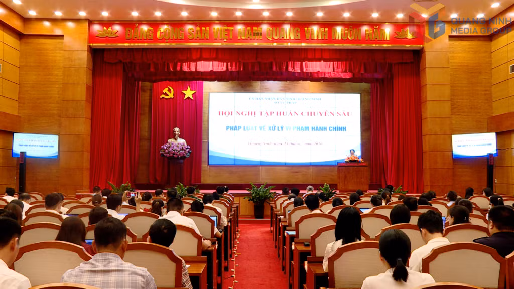 Sở Tư pháp tập huấn chuyên sâu pháp luật về xử lý vi phạm hành chính.