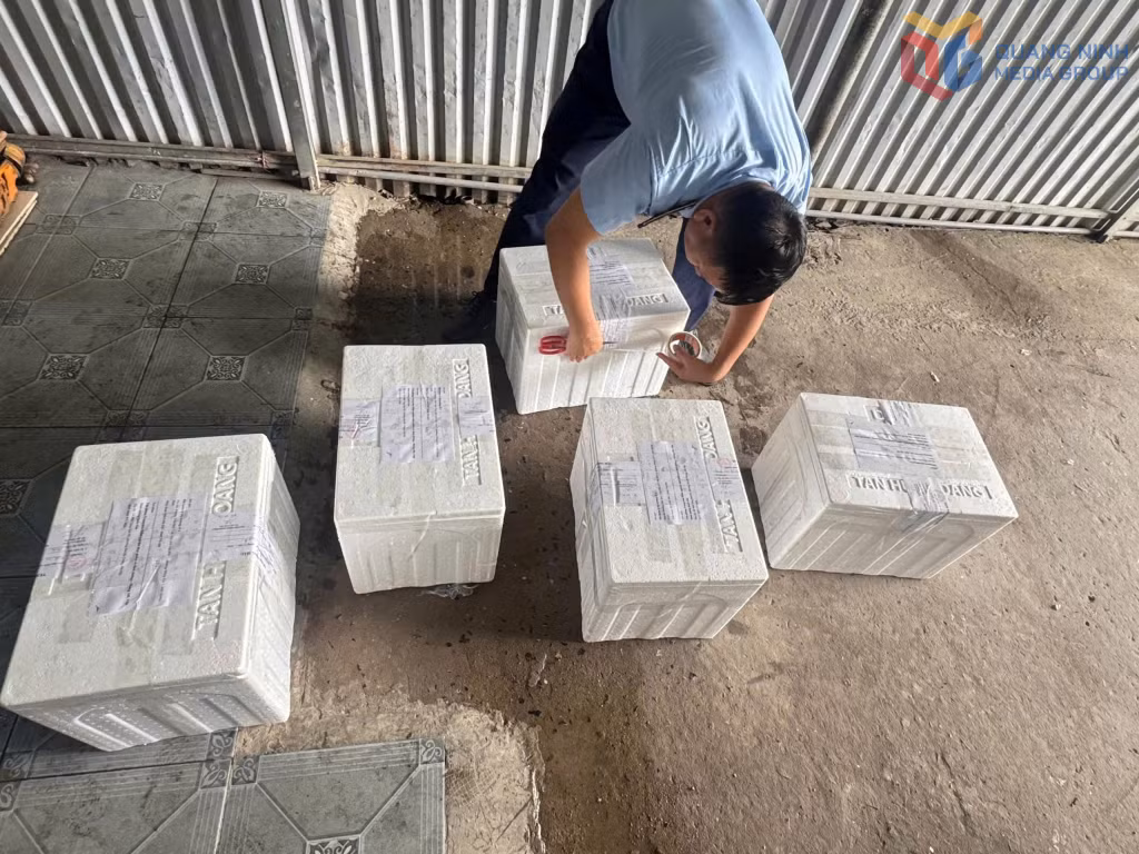 Kết quả kiểm định chất lượng 5/5 mẫu nước đá dùng liền tại cơ sở này đều không đạt Quy chuẩn kỹ thuật quốc gia QCVN 10:2011/BYT. Các mẫu đều có ít nhất 3 chỉ tiêu vi sinh vượt giới hạn cho phép.