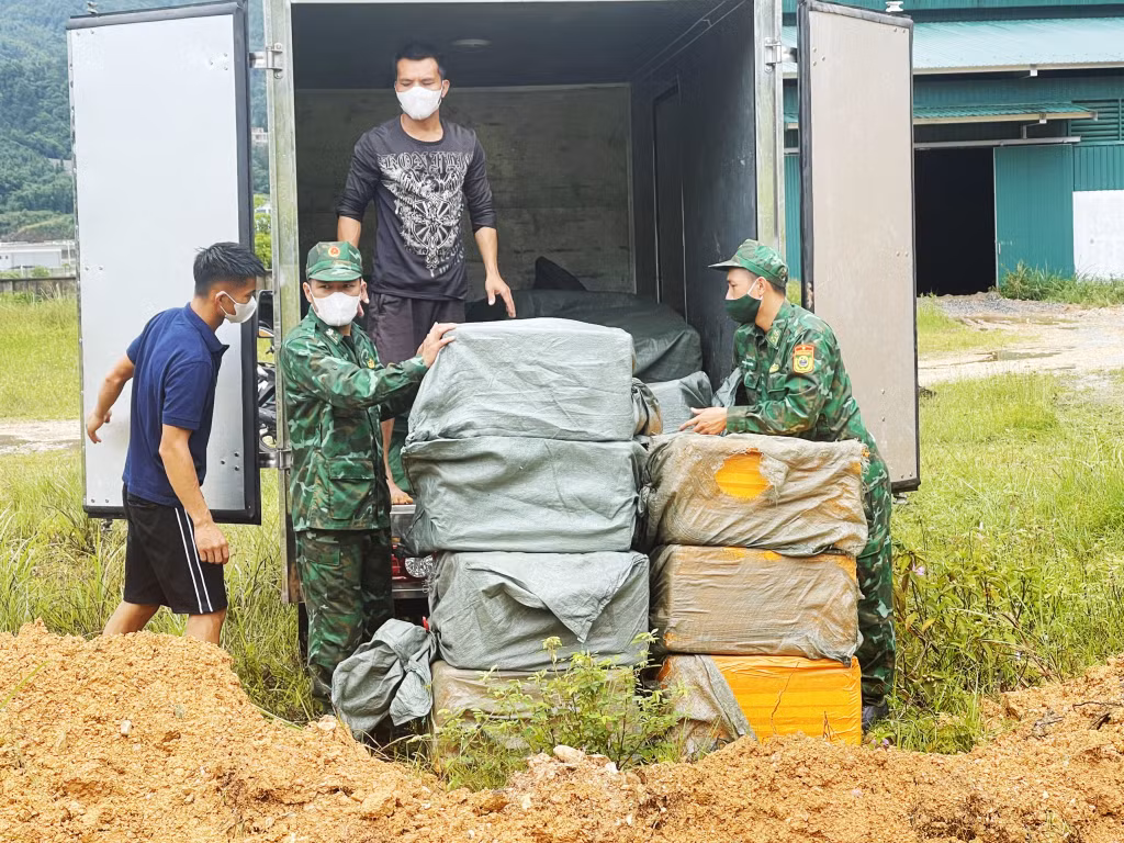 Tiêu hủy số nầm theo quy định của pháp luật.