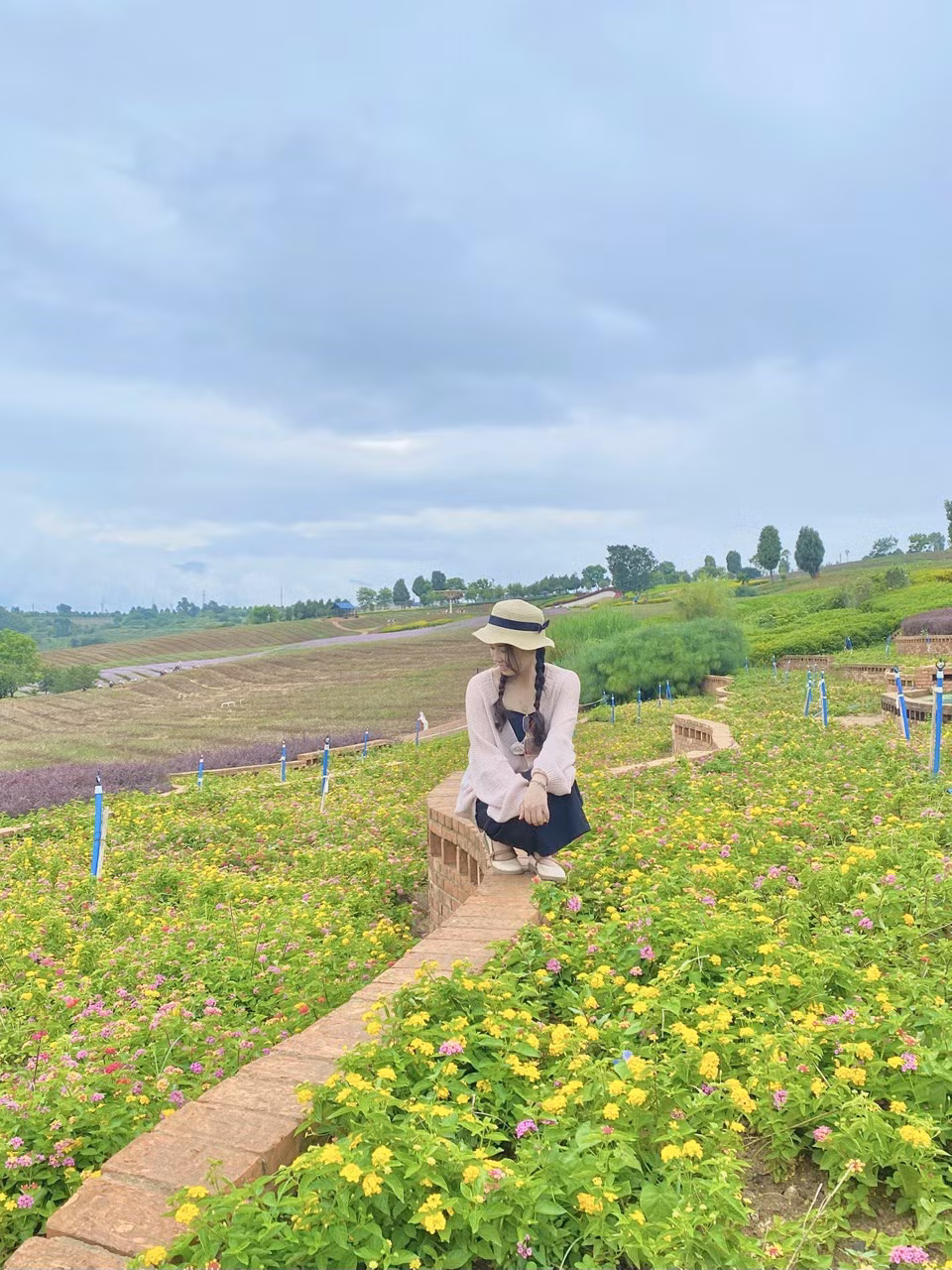 Những cánh đồng hoa rực rỡ sắc màu trở thành phông nền chụp ảnh lý tưởng.