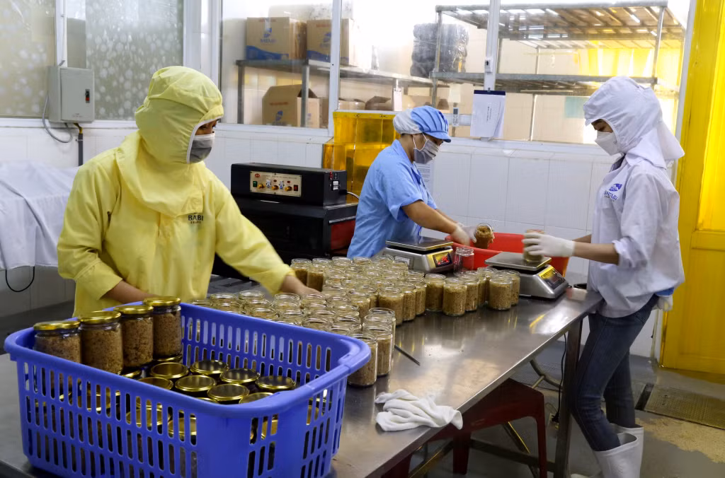 Khâu đóng gói ruốc hàu tại công ty BAVABI Vân Đồn.
