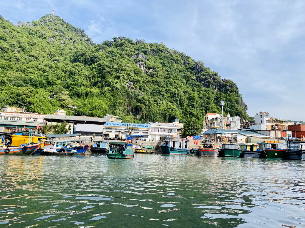 Có khoảng 400 phương tiện đánh bắt thuỷ, hải sản, cung ứng, hậu cần neo đậu không đúng nơi quy định, gây mất an toàn giao thông đường thuỷ, ảnh hưởng đến môi trường và cảnh quan khu vực trung tâm thành phố.