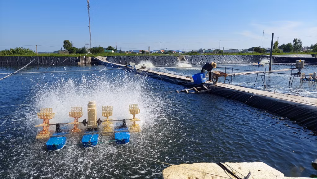 Cơ sở nuôi tôm công nghiệp của gia đình ông Bùi Văn Trình (thôn Đông, xã Vạn Ninh, TP Móng Cái). Ảnh: Trung Thành