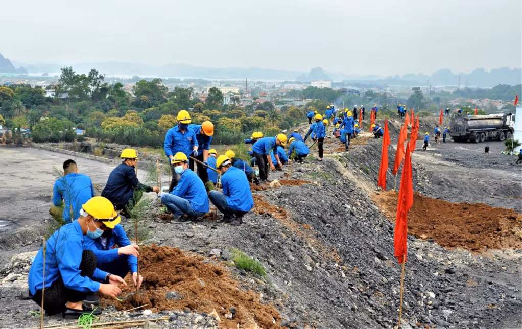 Đoàn Thanh niên Công ty CP Than Cọc Sáu tham gia trồng cây phục hồi bãi thải.