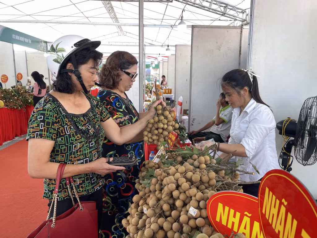 Người dân mua sản phẩm nhãn lồng Hưng Yên.