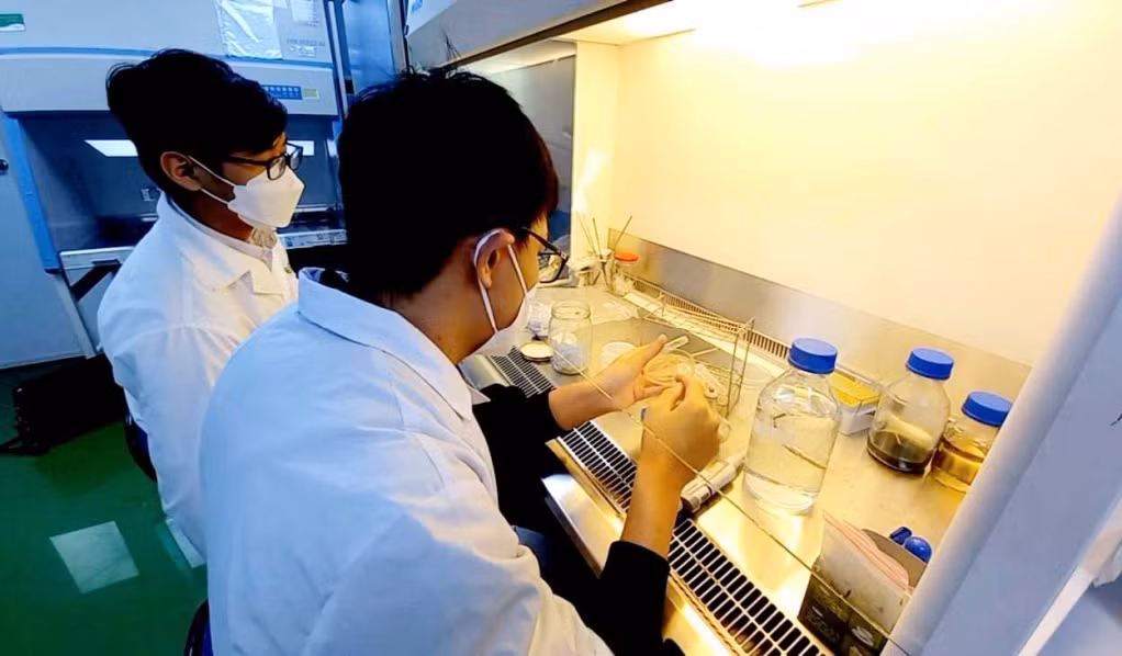 Nhóm tác giả Nguyễn Tùng Thông và Hoàng Dương Thái thực nghiệm kiểm tra hàm lượng khuẩn E.Coli tại Viện Hàn lâm Khoa học và Công nghệ Việt Nam. Ảnh: Ánh Tuyết