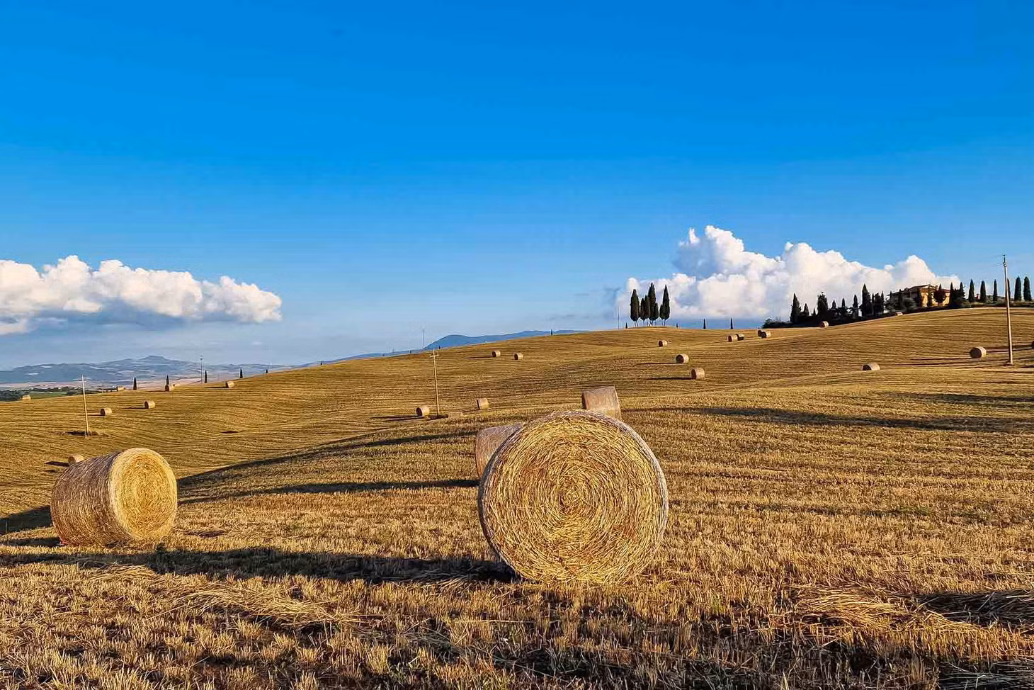 Để khám phá những điều đặc trưng nhất ở vùng quê Tuscany, du khách có thể đến thung lũng Val d’Orcia – cách thành phố Florence khoảng 110km về phía Nam. Ảnh: Nguyễn Tất Thịnh