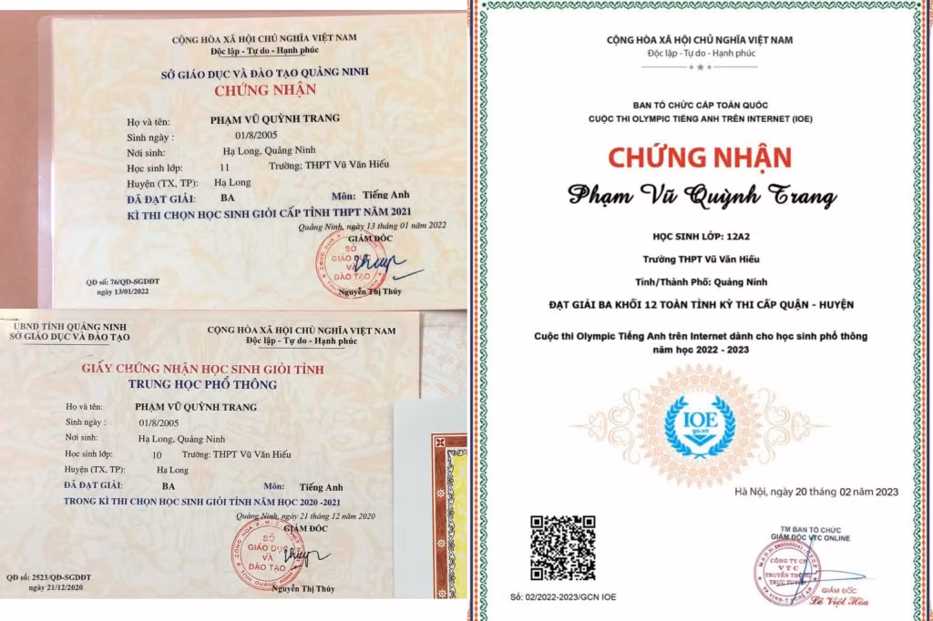 Trang đã đạt nhiều giải thưởng cấp trường, cấp thành phố, cấp tỉnh môn tiếng Anh.