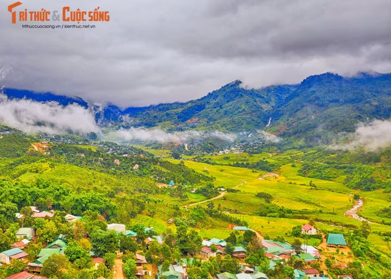 Tu Mơ Rông nằm ở phía đông bắc tỉnh Kon Tum, phía đông giáp huyện Kon Plong, phía Tây giáp huyện Ngọc Hồi, phía nam giáp hai huyện Đăk Tô và Đăk Hà, phía bắc giáp huyện Đăk Glei và huyện Nam Tra My (tỉnh Kon Tum).