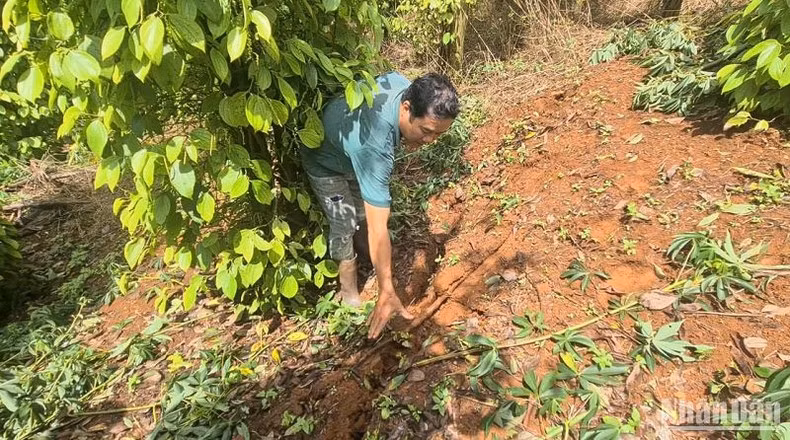 Mái đồi bên trái hồ chứa xuất hiện nhiều vết nứt gãy mặt đất với phạm vi lớn, có tổng chiều dài khoảng 500-700m, khe nứt rộng khoảng 5cm-20cm, độ sâu từ 1-2m và đang có dấu hiệu lan rộng thêm.