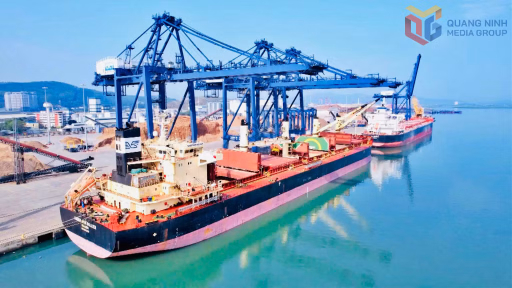 Nhiều tàu trên 50.000DWT không thể ra, vào khu vực cảng Cái Lân một cách an toàn, nhiều chuyến buộc phải giảm tải hoặc chuyển sang sử dụng tàu cỡ nhỏ hơn, làm giảm hiệu quả khai thác.
