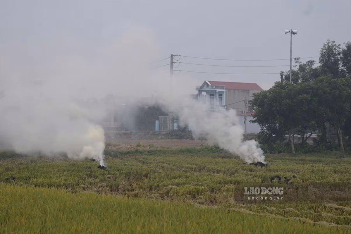 Người dân đốt rơm rạ ngay tại ruộng làm khói bay mù mịt vào khu dân cư. Ảnh: Hà Vi