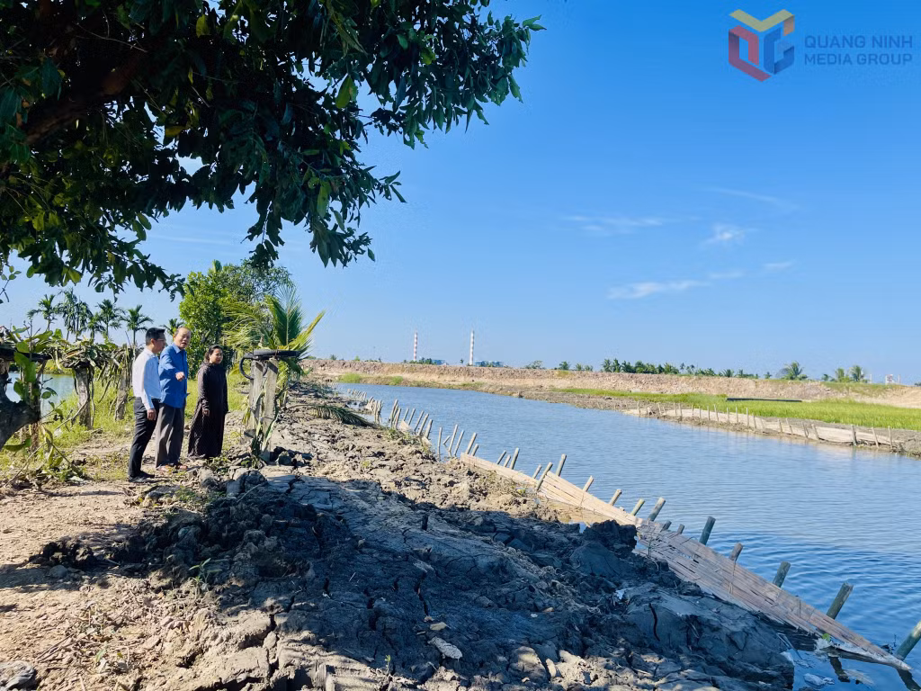 Tuyến kênh chảy qua khu Yên Giang 3 (phường Quảng Yên) được nạo vét, khơi thông.